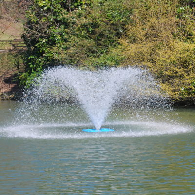 DSC_5607